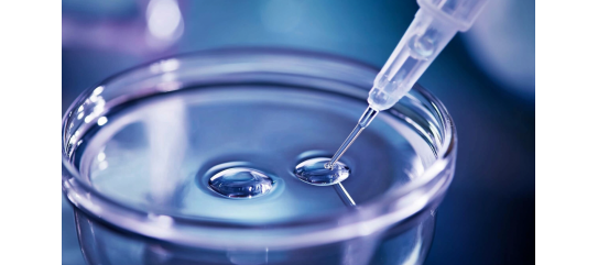 Does ICSI Increase the Chances of Success? Does ICSI Increase the Chances of Success?