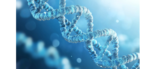 Preimplantation Genetic Diagnosis (PGD) 