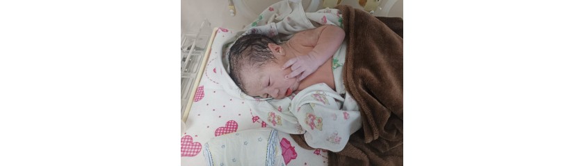 Reviews success surrogacy cyprus Reviews success surrogacy cyprus