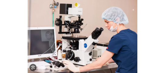 Therapeutic Aspects of Reproductive Medicine: Contraindications to Pregnancy and ART