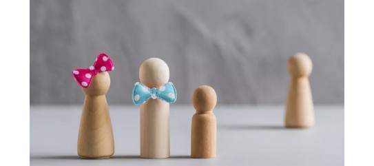 What does the new law on surrogacy say?