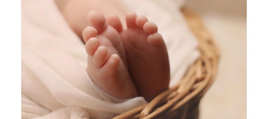 Deputies propose to prohibit foreigners from using the services of Ukrainian surrogate mothers